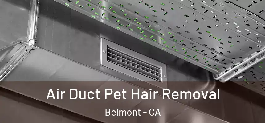  Air Duct Pet Hair Removal Belmont - CA
