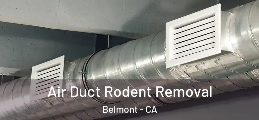 Air Duct Rodent Removal Belmont - CA