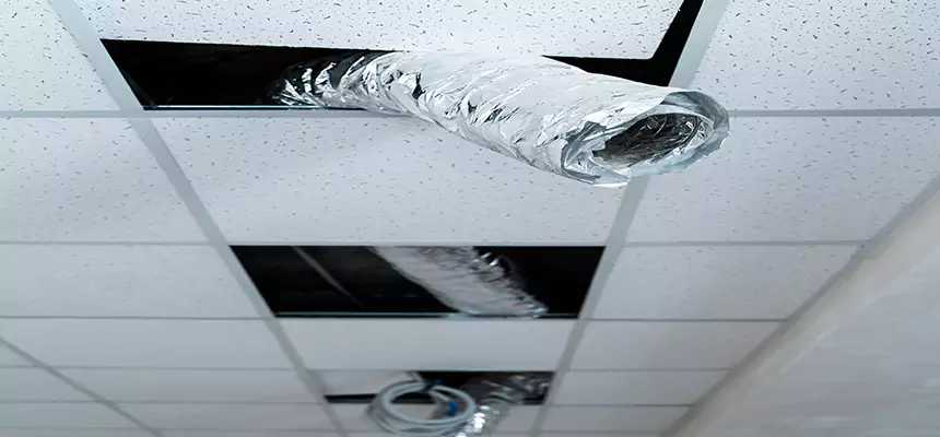 Our Air Duct Pet Hair Removal Services in Belmont, CA