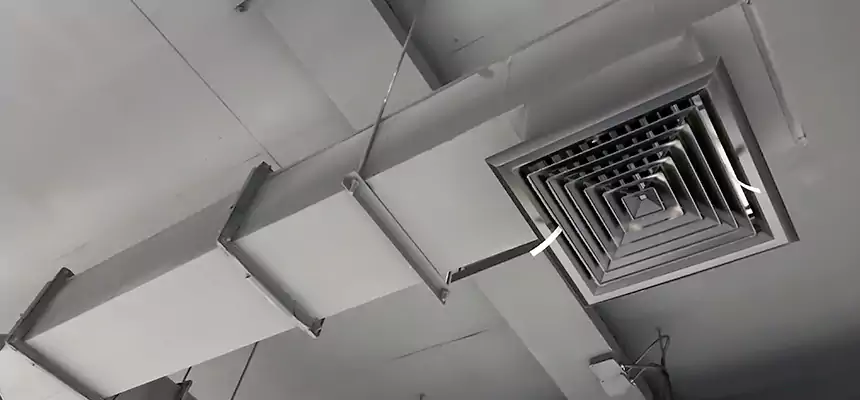 Our Rodent Droppings In Vents Services in Belmont, CA