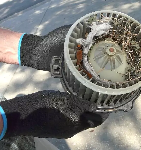 About Air Duct Rat Removal in Belmont, CA