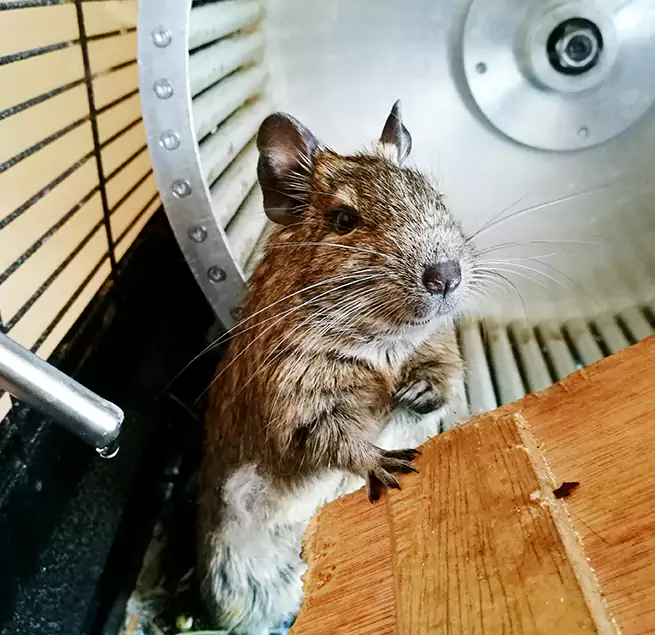 Why Homeowners & Businesses Trust Us Belmont, CA