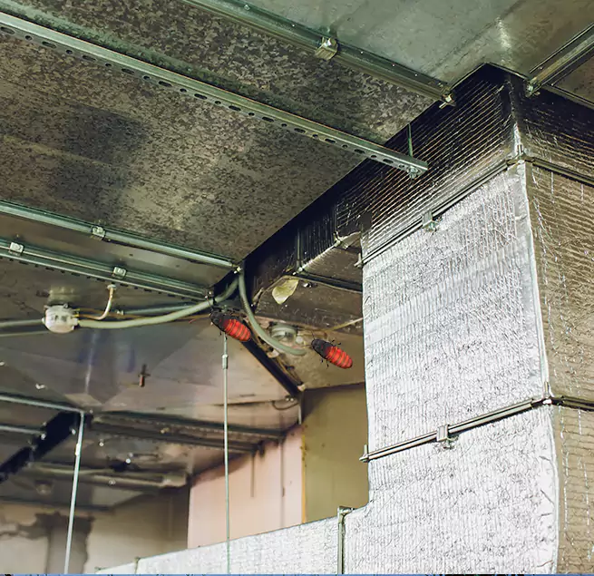 Why Homeowners & Businesses Trust Us Belmont, CA?